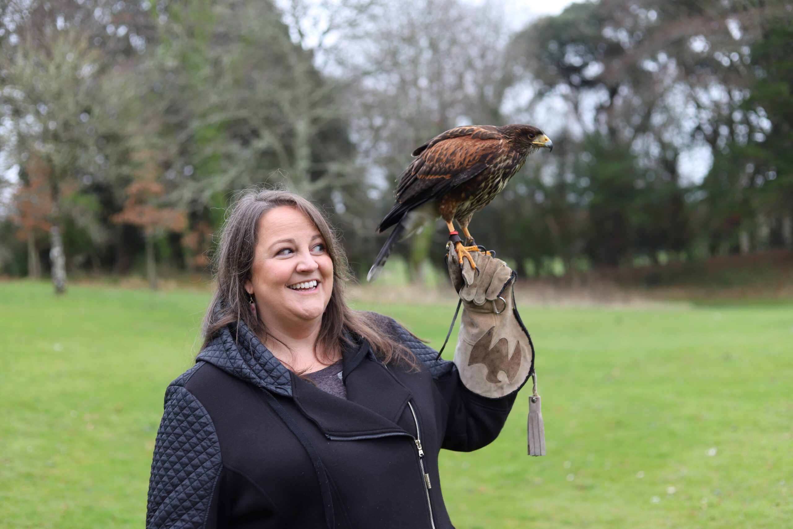 Falconry compressed